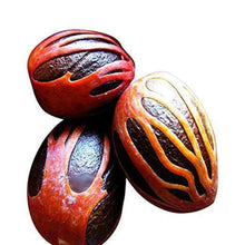 St. Mary's Whole Jamaican Nutmeg (Spice)