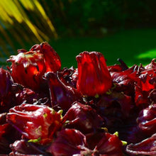 Sorrel (Hibiscus) Flowers Dried